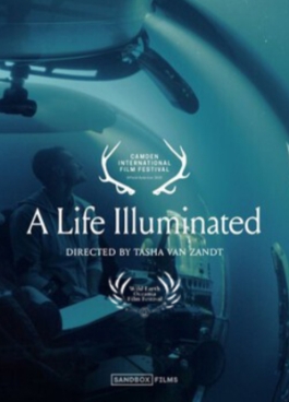 Theatrical poster for A Life Illuminated