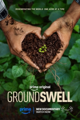Theatrical poster for Groundswell