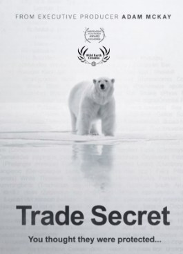 Theatrical poster for Trade Secret