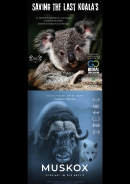 Theatrical poster for War on Nature Screening with Muskox